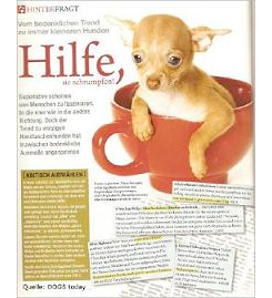 Mini-Hunde