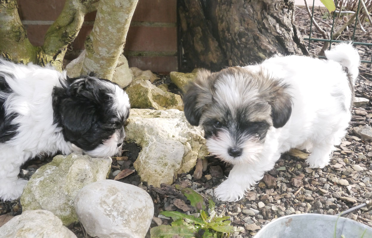 Spiel und Spass im Garten